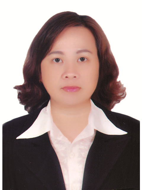 Các Ban HĐND Tỉnh