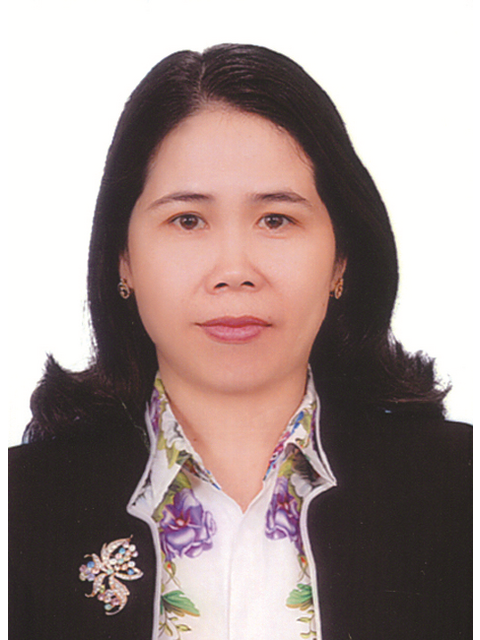 Các đại biểu HĐND Tỉnh